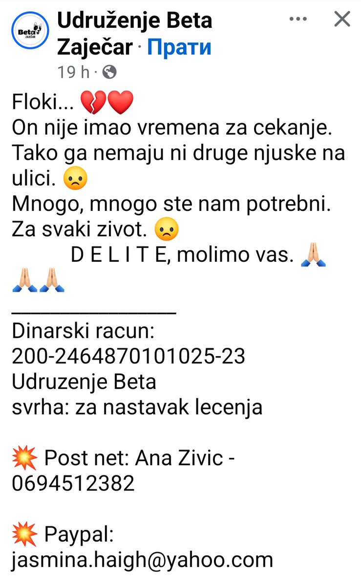 mirjanakraljic's tweet photo. Naše malo, njima je mnogo.
100, 200, 500 drnara, koliko ko može. 🙏🐾❤️ https://t.co/yGYAFQ9Ras