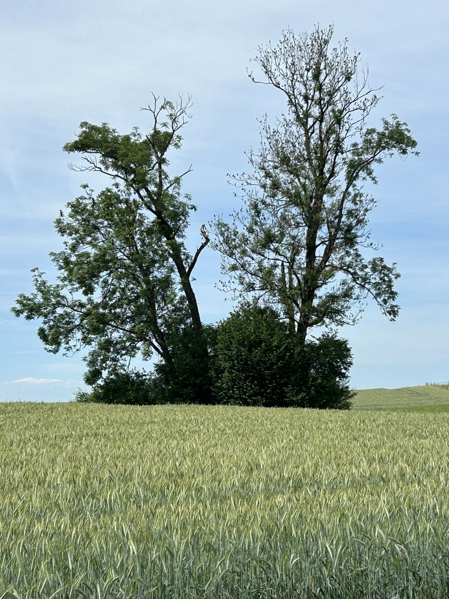 Anonymining's tweet photo. When you have to decide between two things, it helps to go back to the ground and remember what really matters 🌱 https://t.co/6PVyZXiWt0