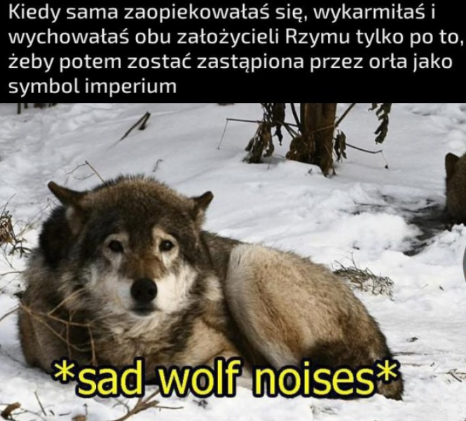 AjKedzierski's tweet photo. Smutne https://t.co/LdQe3eOeqk