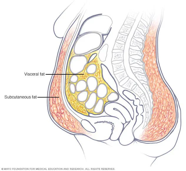 FloatingIsland's tweet photo. Menopause belly is real: https://t.co/VaSbuUmvGI https://t.co/DD4UeDwXME