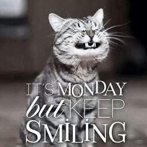 ceemzee's tweet photo. Have a great day ✨❤️ https://t.co/IXWqry1sow