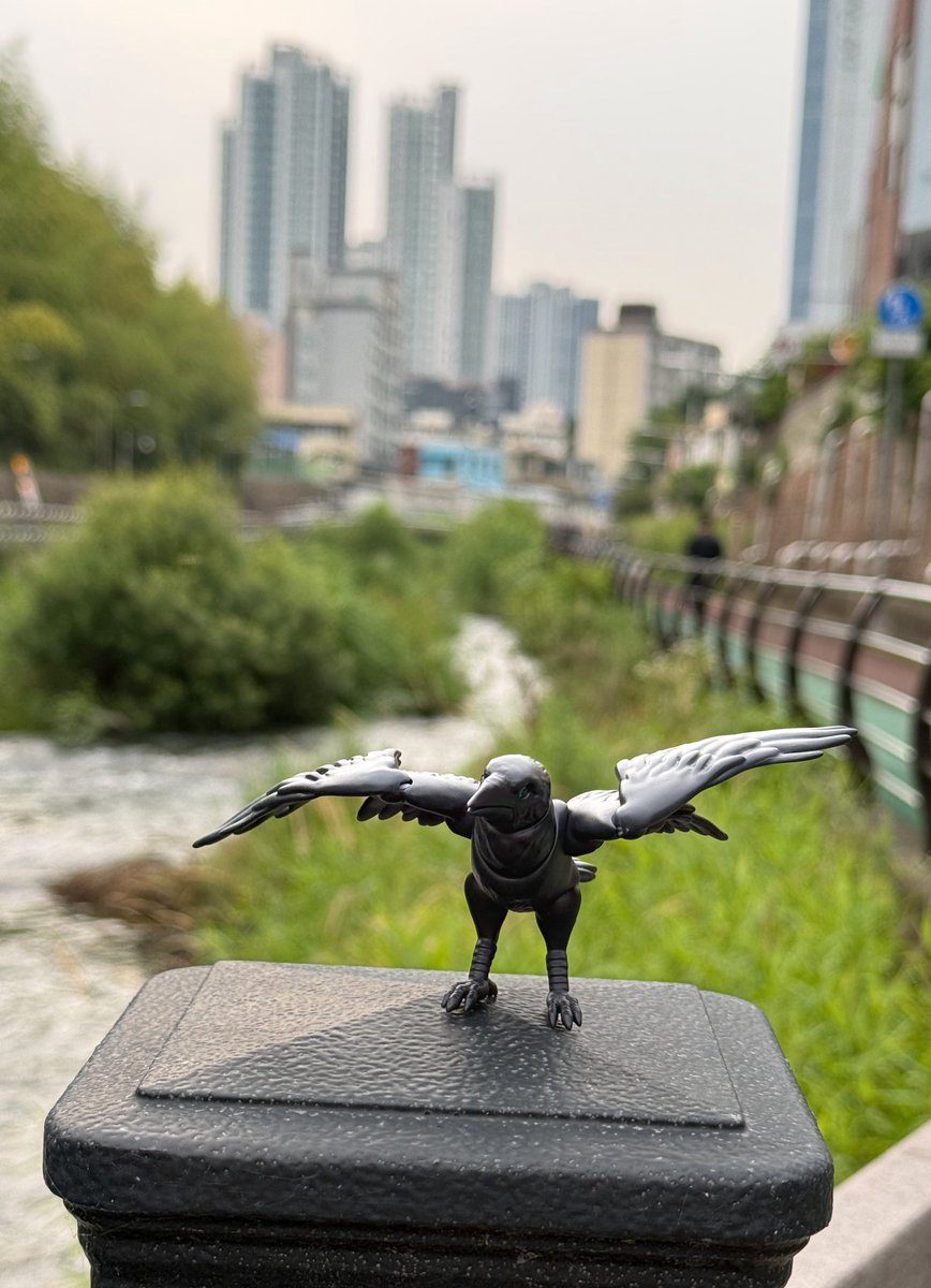 PIPOSDOLL's tweet photo. レイヴンと一緒に。🐦⬛
#PIPOSCreatures #Raven #PIPOSDoll https://t.co/64XZGH6OH2