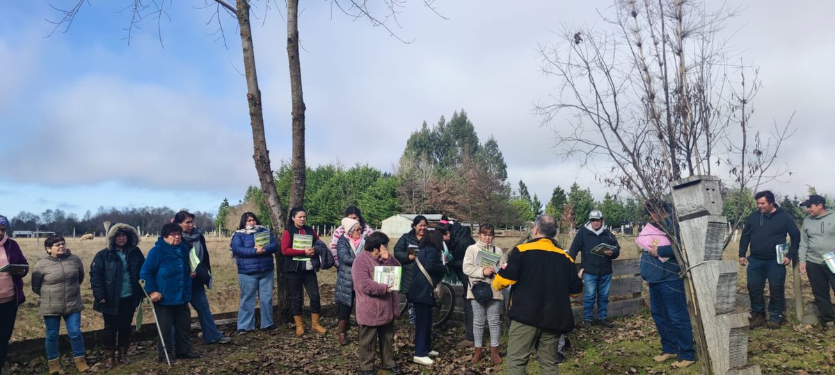 conaf_araucania's tweet photo. 🔥🤝#CONAF realizó Taller N° 1 del programa Comunidad Preparada junto a Comunidad Juan Manuel Sánchez #Victoria, con participación de 43 vecinos/as.

Durante la jornada se abordaron conceptos básicos de incendios forestales, modelo de Casa Fortalecida y medidas de autoprotección. https://t.co/joO5L9MrDt