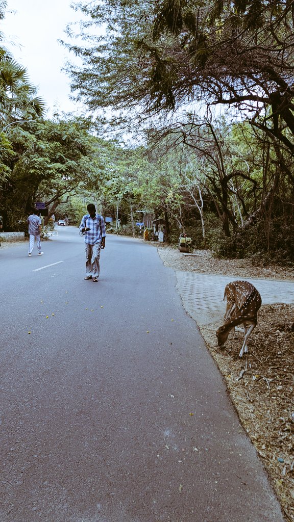 sonaliptnk's tweet photo. Grateful for the invitation to speak at a place with a remarkable legacy in science and research, and discuss baryon asymmetry, thermal field theory, and bubble wall dynamics with students and researchers. #iitmadras #ResearchTalk #EWB https://t.co/IcLbkMX3q4