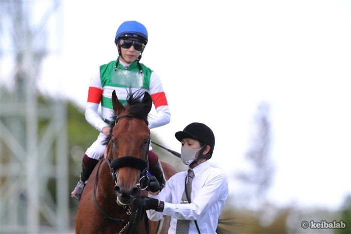 keibalab's tweet photo. 【誰似？】
ジョドレルバンク(1枚目)
父エフフォーリア(2枚目)
叔父クロワデュノール(3枚目)
#ジョドレルバンク #エフフォーリア #クロワデュノール 
https://t.co/jztb1xImgH https://t.co/dX3Fr4v3jC