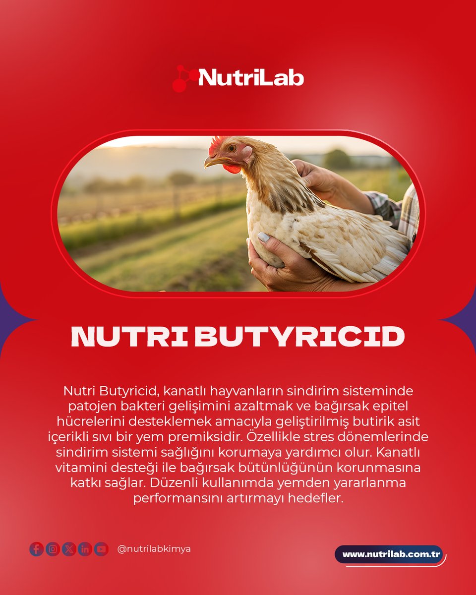 NutrilabKimya's tweet photo. NUTRI BUTRYCID

Nutri Butyricid, kanatlı hayvanların sindirim sisteminde patojen bakteri gelişimini azaltmak ve bağırsak epitel hücrelerini desteklemek amacıyla geliştirilmiş butirik asit içerikli sıvı bir yem premiksidir. https://t.co/MsXDgjJBrf