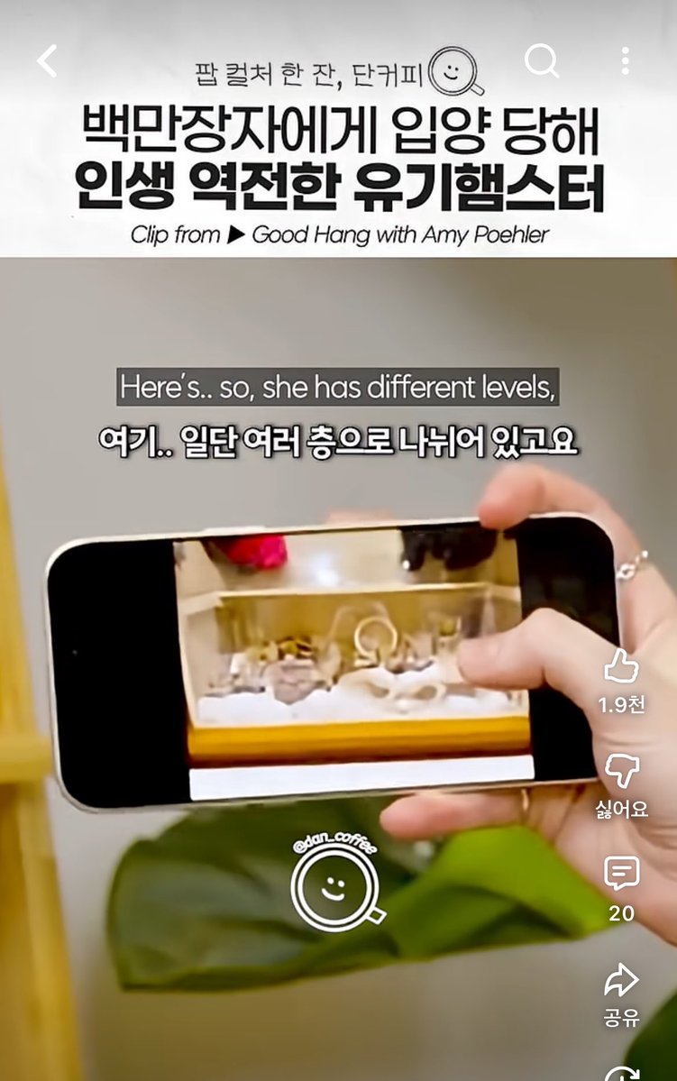 I_hamstern's tweet photo. 빌리아일리쉬 유기햄스터 키운대
ㅈㄴ호감 https://t.co/c8Z96DoCBo