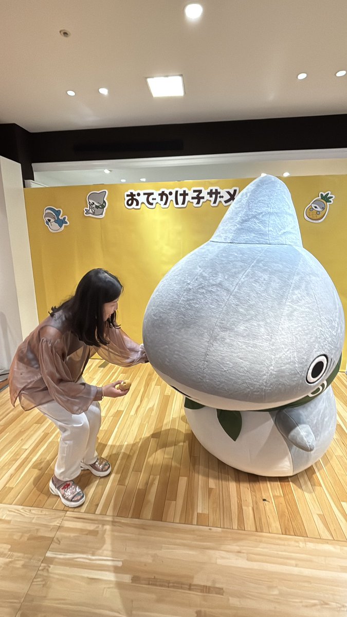 Su82Mi's tweet photo. 子ザメちゃんとグリーティング🦈
たまたまうさめのミニぬいぐるみを持ち歩いてたので、見せたらスリスリしててかわいいねぇ😭
4枚目は友達が撮ってくれてた写真。
楽しそうだね(笑)

腰が引けてるのは、目線を合わせるために膝を曲げてるためです(笑) https://t.co/8q6e63qU4h