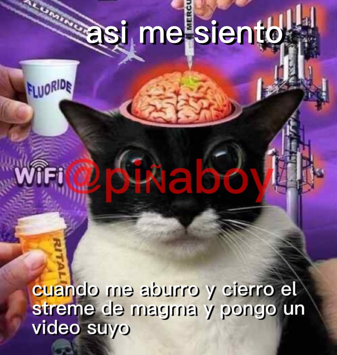 MagmaAnti's tweet photo. Oaaa

#magmameme https://t.co/nb7qz3NNSl