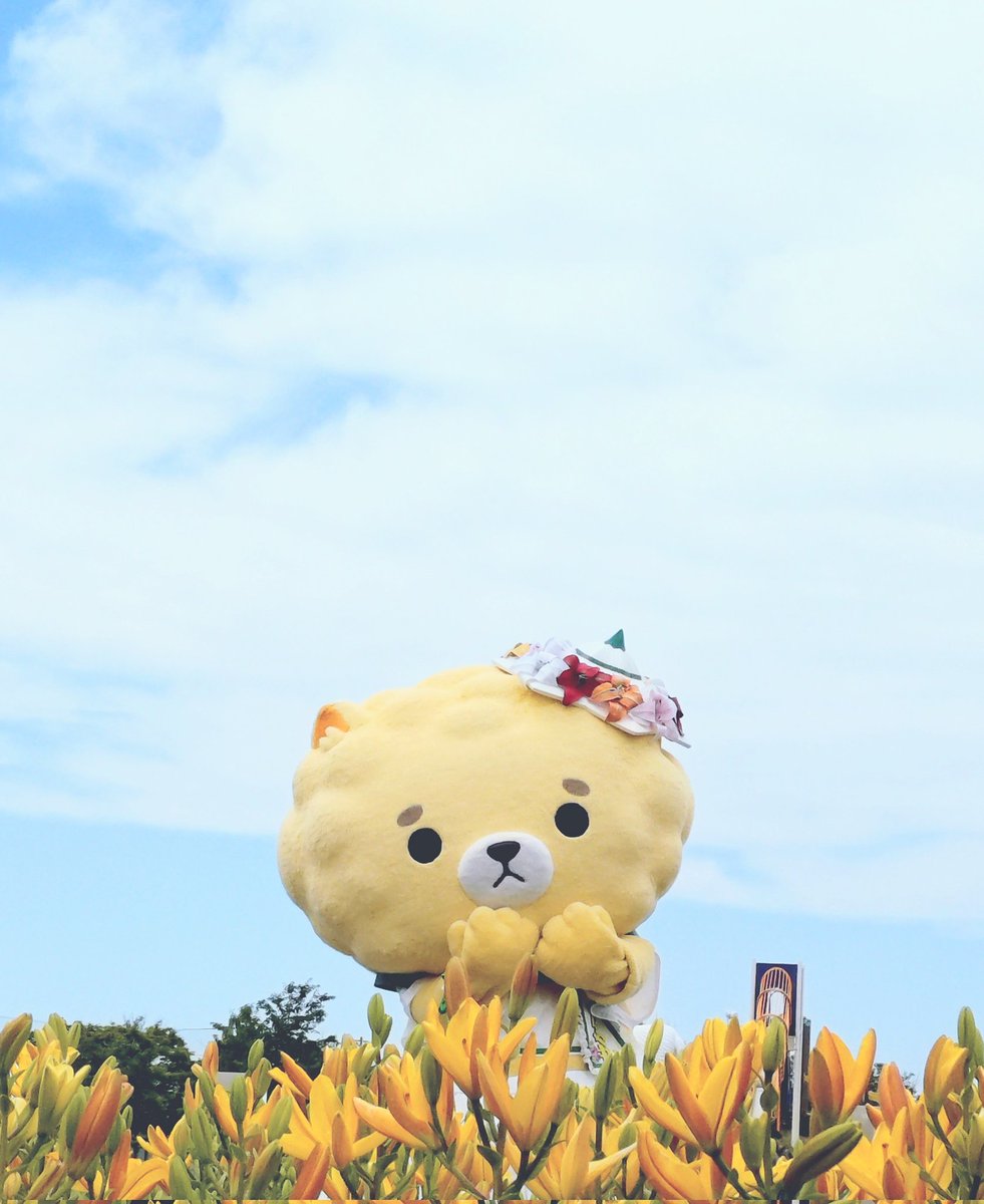 _azumamochi_don's tweet photo. 福井の皆様
明日はぜひ読売新聞を🍮🐾 https://t.co/sIbrzJVVvA