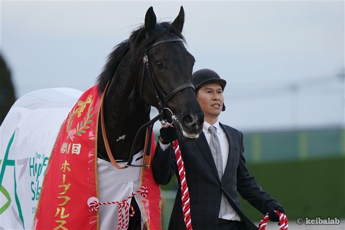keibalab's tweet photo. 【誰似？】
ジョドレルバンク(1枚目)
父エフフォーリア(2枚目)
叔父クロワデュノール(3枚目)
#ジョドレルバンク #エフフォーリア #クロワデュノール 
https://t.co/jztb1xImgH https://t.co/dX3Fr4v3jC