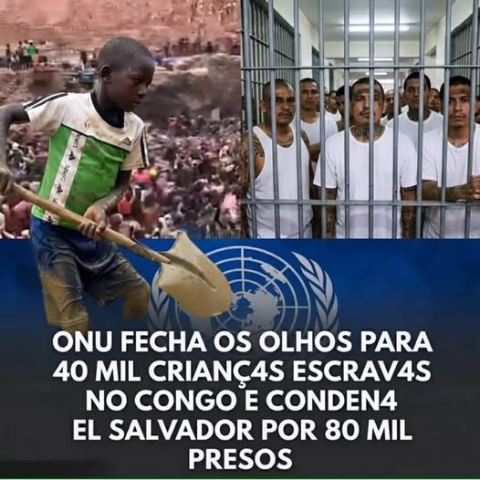 Jeffers78017291's tweet photo. Organização de canalhas hipócritas https://t.co/t2TUvxBS2k