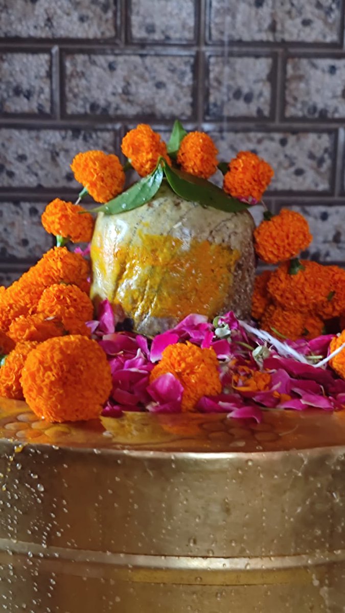 Brahmvidhya's tweet photo. जटाटवीगलज्जलप्रवाहपावितस्थले
गलेऽवलम्ब्य लम्बितां भुजंगतुंगमालिकाम् ।
डमड्डमड्डमड्डमन्निनादवड्डमर्वयं
चकार चण्डताण्डवं तनोतु नः शिवः शिवम् ॥

हर हर महादेव https://t.co/kzhIOVhYx2