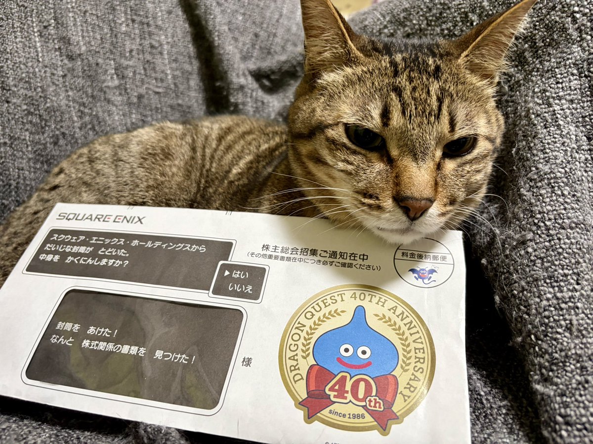 TAKAO623's tweet photo. きょうのやまと。やまとはスクエニの株式関係の書類を手に入れた！ #DQ40th https://t.co/5SjcDQ5Na9