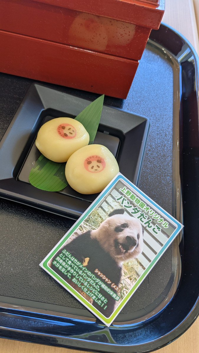 komikumi24's tweet photo. 今週末は大切な日🐼🍡✨
懐かし写真を添えて🥰

#シャンシャン https://t.co/fOblHI7yC5