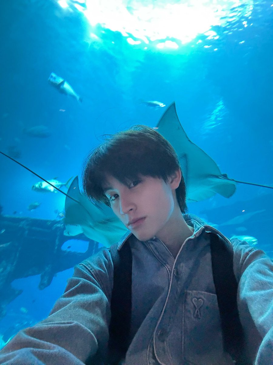 AAbsolute_'s tweet photo. รูปนี้น่ารักมากจัง ;^; เหมือนเด็กเร้กๆ https://t.co/bTXNO8oBLo