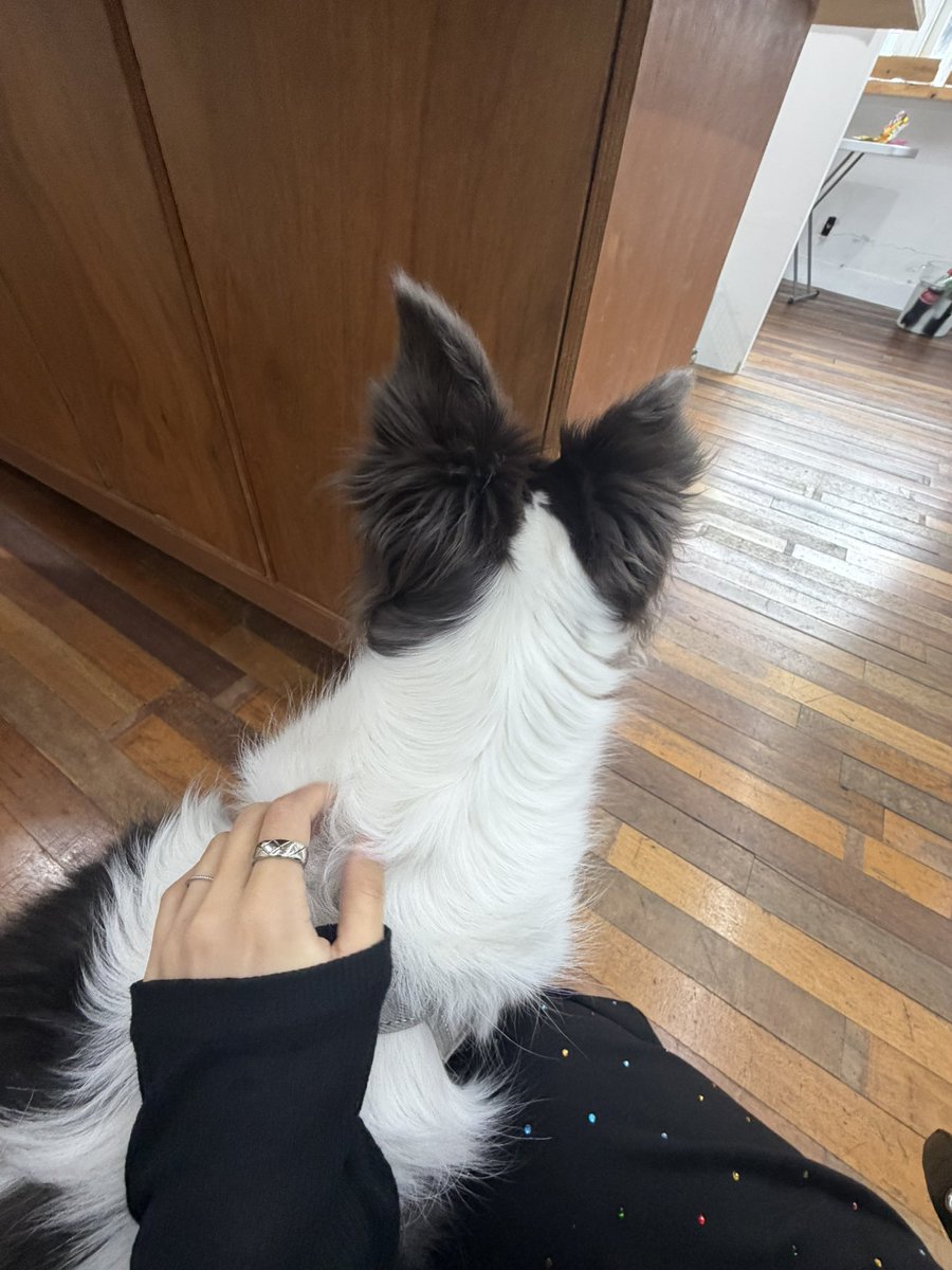 jourrrryu's tweet photo. 여권뺏고싶은남자 만나고왓고 ㅈㅉ뺏고싶음ㅋ💕 https://t.co/zdQzMudbgZ