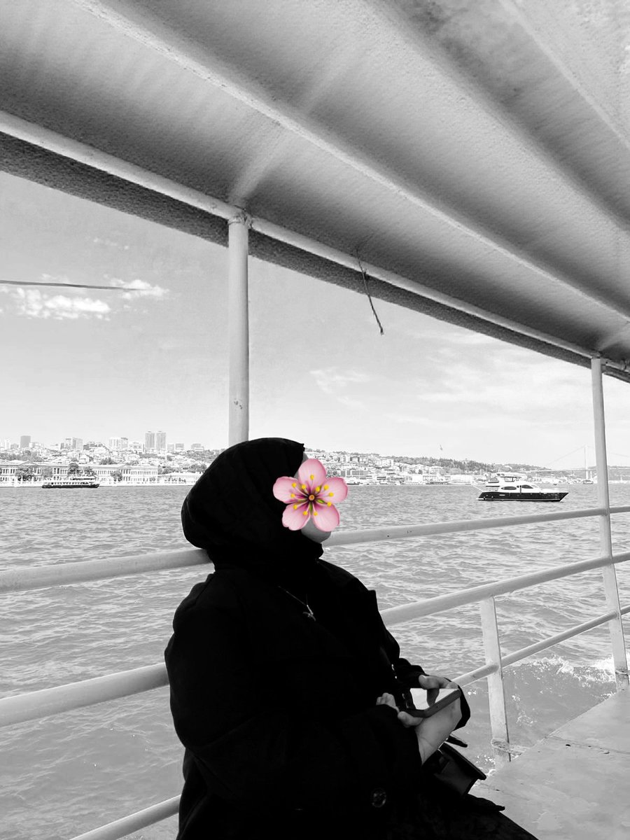 ilvan tweet media