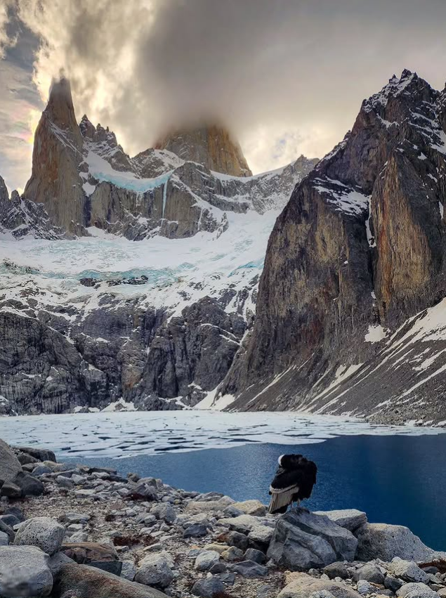 Imagen_Arg's tweet photo. El Chaltén 💙 Patagonia https://t.co/KAPb51Tq2v