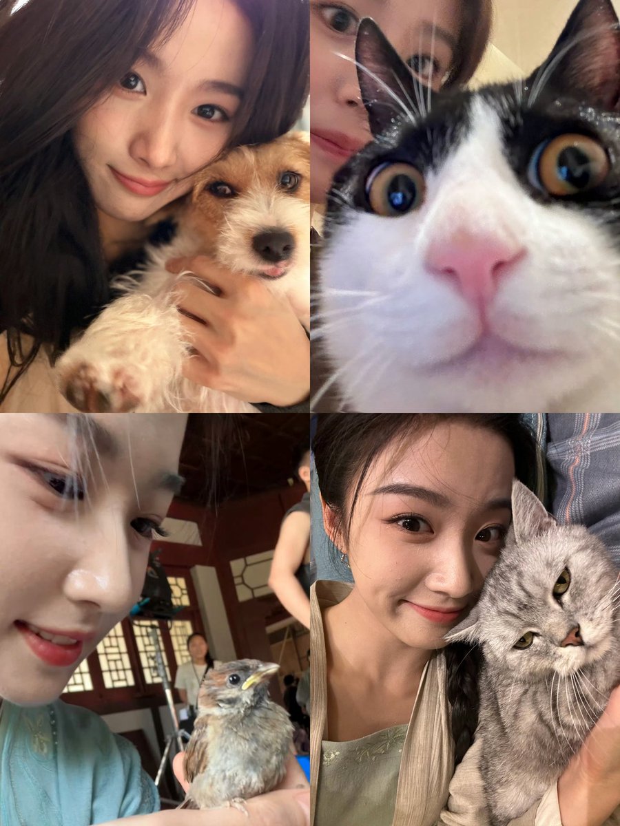 pjxdali's tweet photo. big fan of the cute animal selfies 🥰 https://t.co/lW72HrLu58