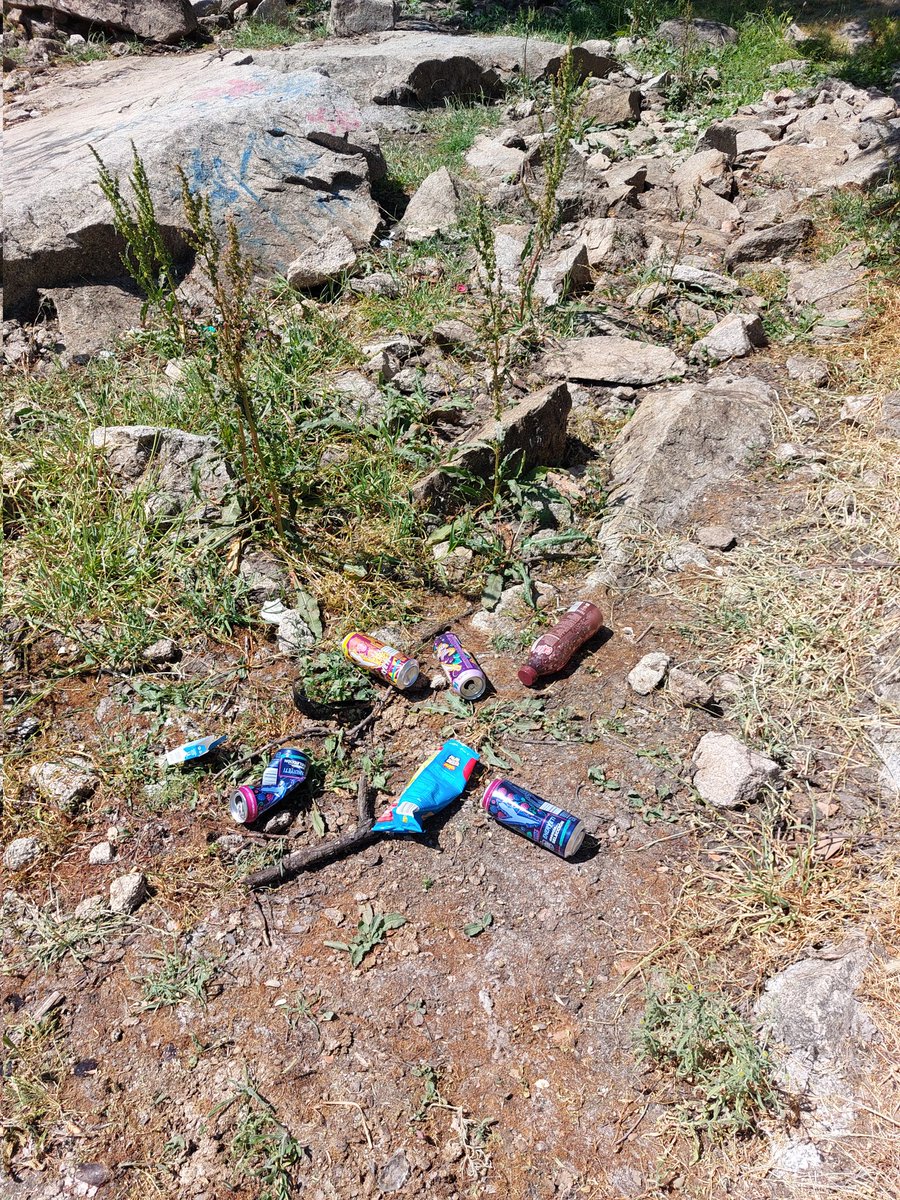 SalvaLaDehesa's tweet photo. Dehesa de #Moralzarzal. Siempre lo mismo, siempre sucia: mercadillo, botellones, cacas de perro... Hace falta educación, vigilancia, limpieza... https://t.co/aIC3uTSShZ
