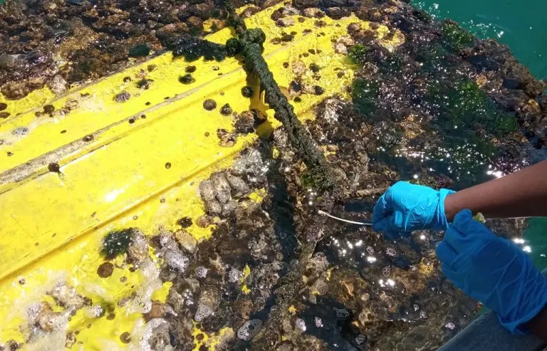 aimplas's tweet photo. A través del proyecto #ENDFOULING, trabajamos para transformar residuos orgánicos generados en los puertos en nuevas soluciones biobasadas capaces de proteger embarcaciones y estructuras marinas.

✅ Está financiado por el @GVAivace y los Fondos #FEDER.

https://t.co/i4vTGWmTjo https://t.co/2tzcnC0LRg