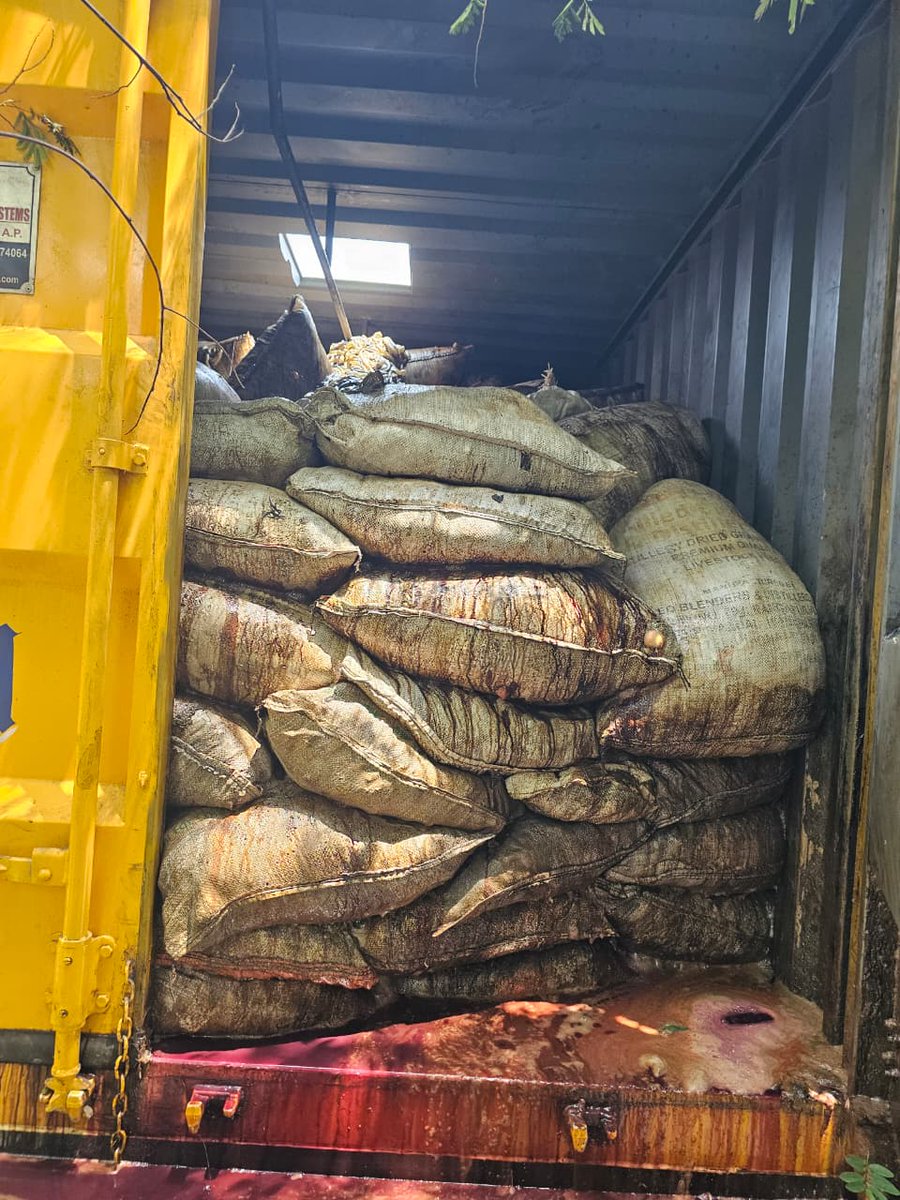 NewsMeter_In's tweet photo. #Hyderabad:

The Hyderabad Food Adulteration Surveillance Team (@HFastHCP) has busted an alleged racket involved in transporting chicken waste from Hyderabad to #fishponds in Andhra Pradesh for use as a fish feed.

🔹 Nine trucks carrying around 120 tonnes of #chickenwaste were intercepted at multiple locations, including #Amberpet, #Attapur, #Kukatpally and #PeddaAmberpet.

🔹 Investigators found that hundreds of tonnes of chicken waste are being transported daily from Hyderabad to fish ponds in #Guntur, #Bhimavaram, #Vinukonda and #Addanki.

🔹 The waste was allegedly being diverted illegally instead of being sent to the GHMC rendering plant for scientific disposal.

🔹 Authorities have arrested members of the network and seized the consignments for further investigation.

#Hyderabad #HFAST #FoodSafety #FishFarming #AndhraPradesh @GHMCOnline #FoodAdulteration #PublicHealth #MrigasiraKarthi #HyderabadNews