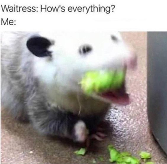 WholesomeMeme's tweet photo. https://t.co/syzHYuw70z