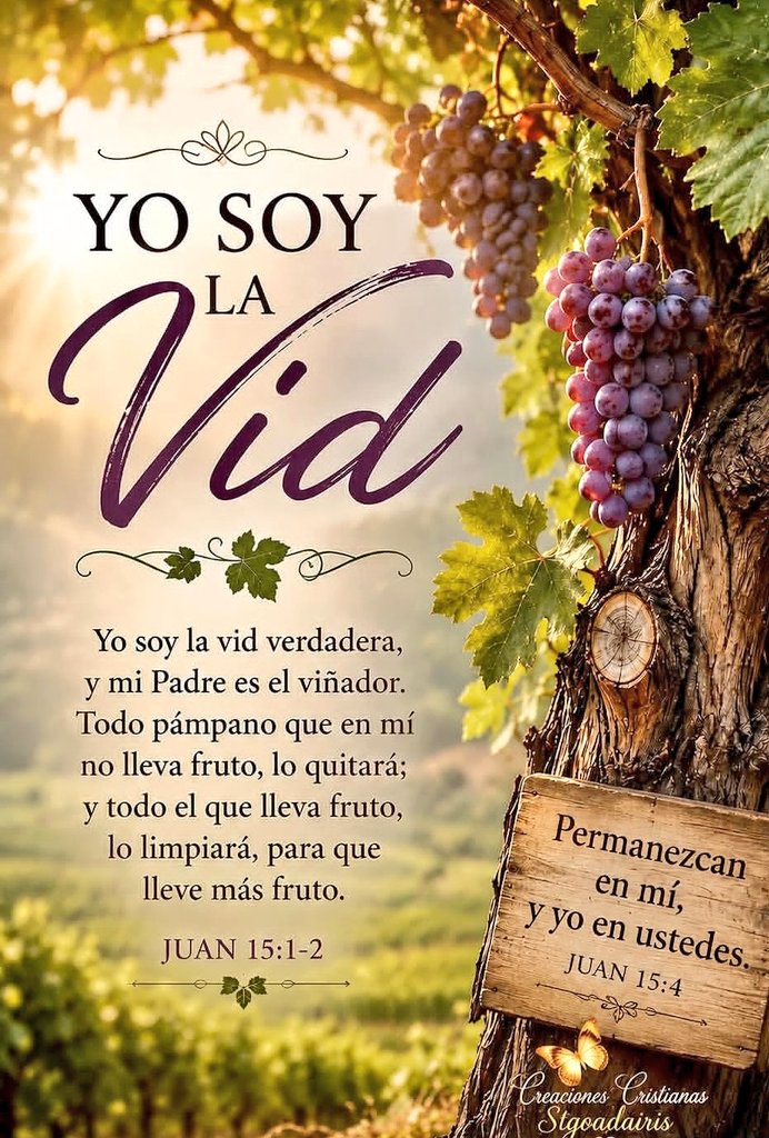 720_LR's tweet photo. @carlose67640678 @mauromonserrate Amén 🙏🏼 Buenos días Carlos Enrique! Muchas gracias por este lindo video y like. Bendiciones en esta nueva semana! De tu mano Padre Eterno somos más que vencedores. El Señor Jesús te bendiga y proteja siempre. Abracitos 🙏🏼🕊️🤍🎶☕🐅🇨🇴🛵 https://t.co/1Lek2qlrlw