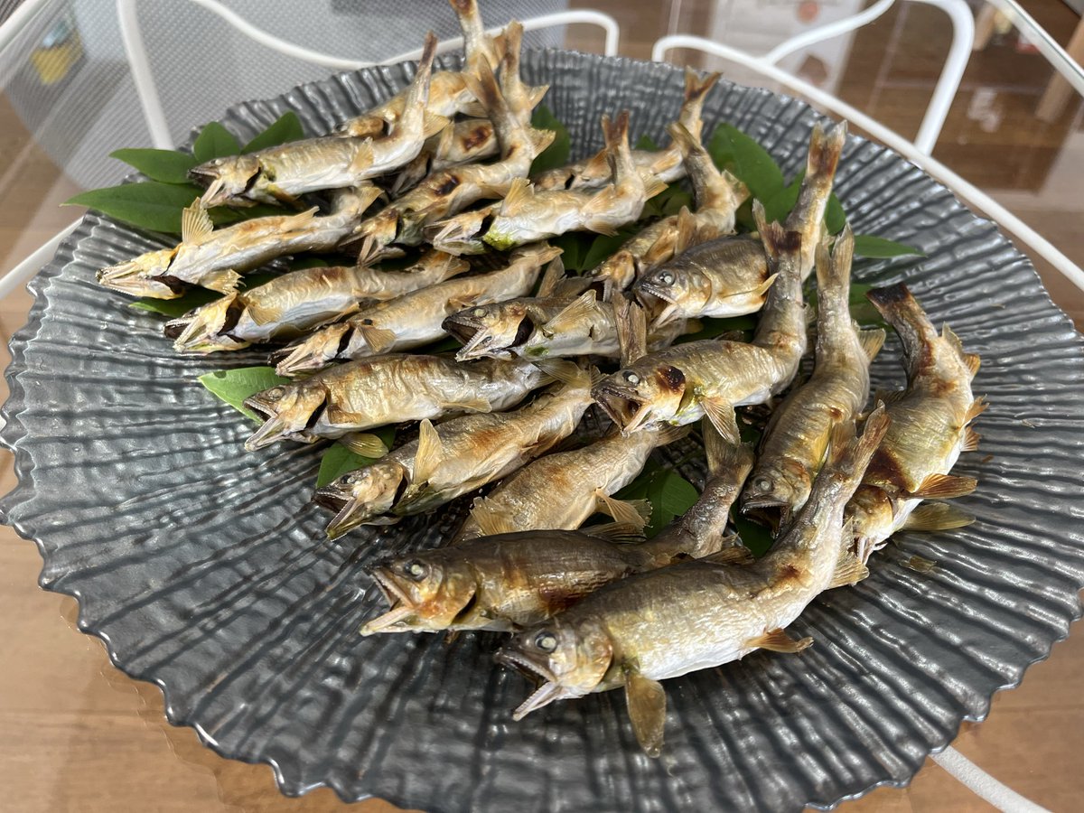 Philly31special's tweet photo. 鮎の季節がやってきましたね🐟 https://t.co/Sh71RHrshJ