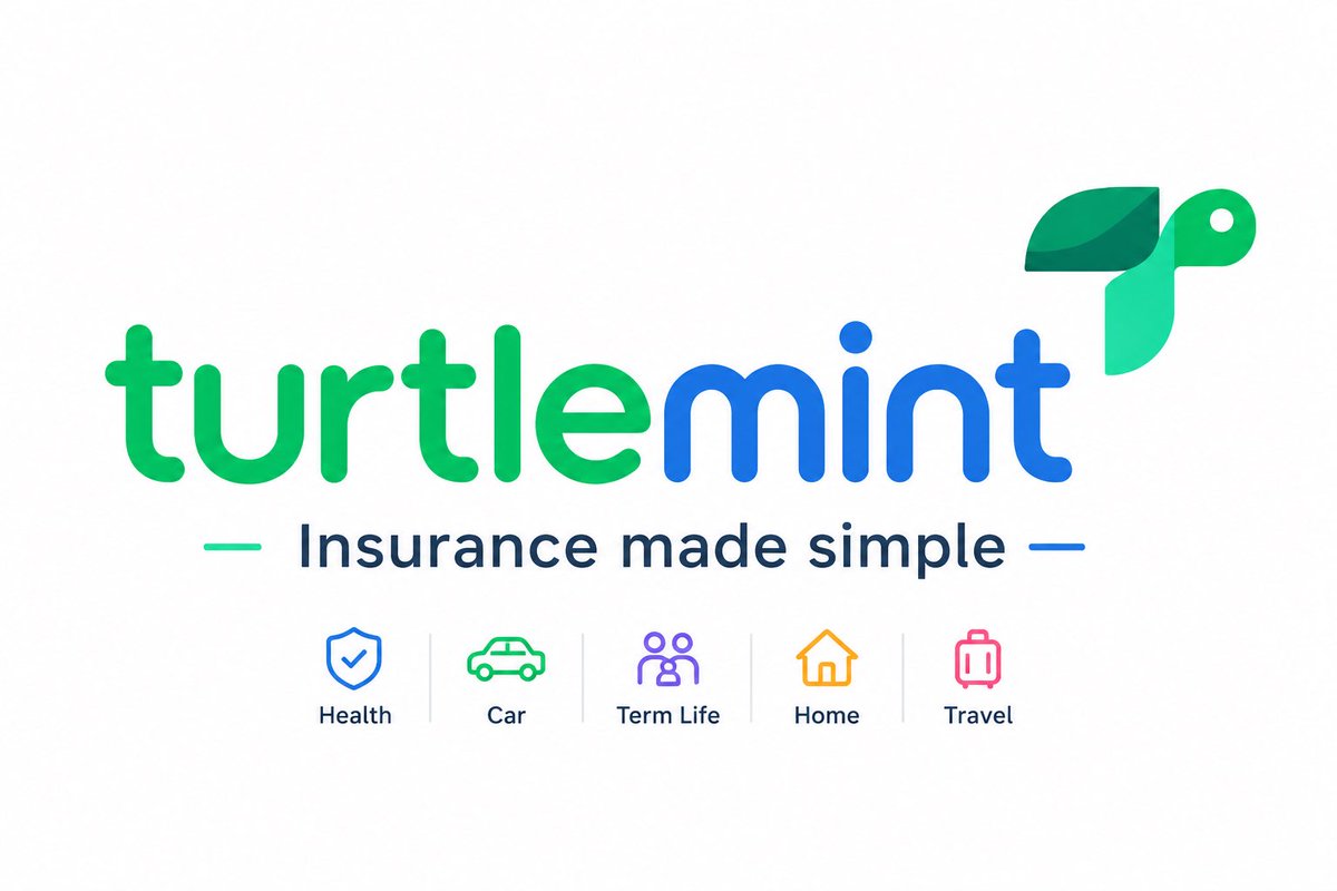 Turtlemint Fintech Solutions IPO