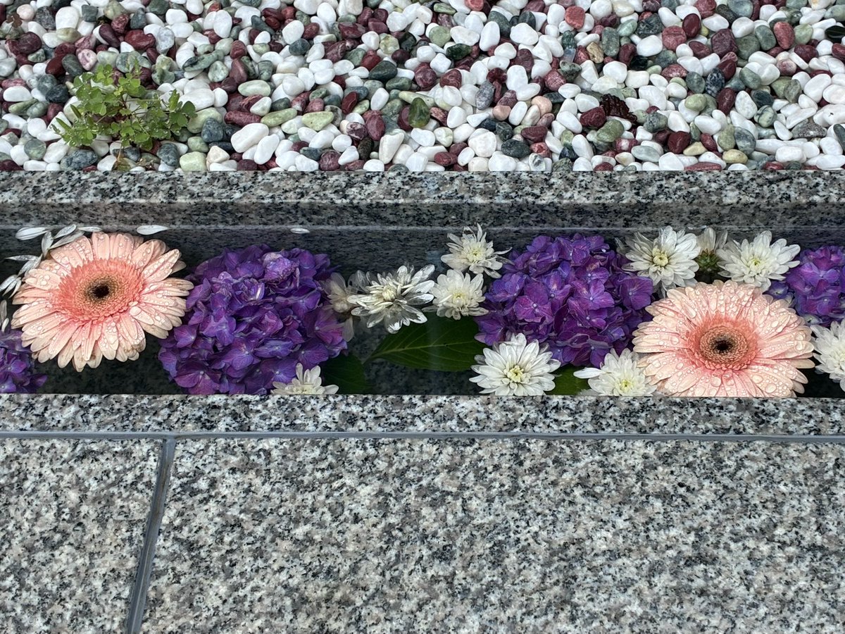 primrose79's tweet photo. どこ観ても素敵すぎる✨ https://t.co/qHjvTfxuct