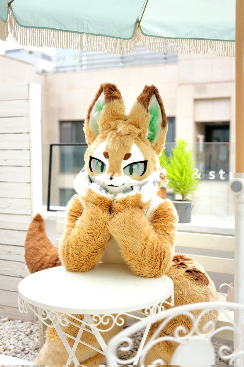 furfect63's tweet photo. 뭐하고 있나 지켜보는 중 👀
나 안봐주려나 기다리는 중 👀

#FursuitEveryday https://t.co/xiAyTNNVzD