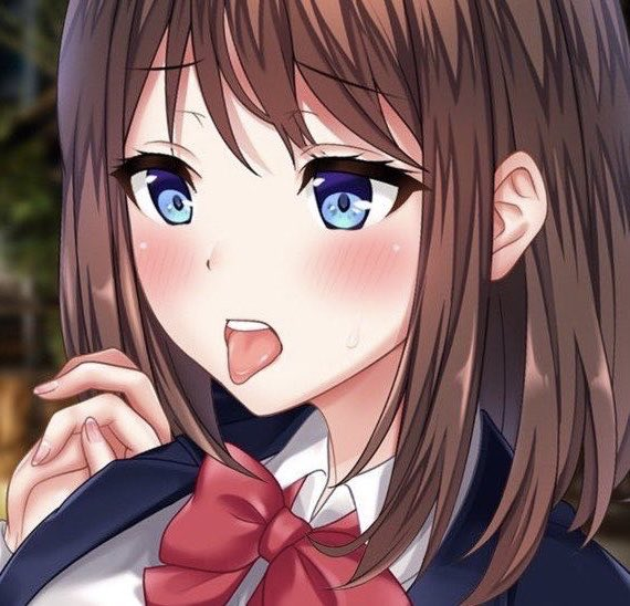 おすすめ屋 tweet media