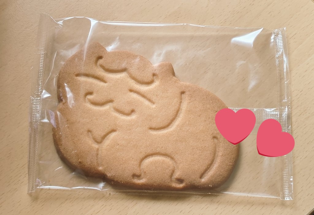 naruchoo1's tweet photo. いただきものの猫サブレ😺
なんだかサクサク懐かしい味でめちゃくちゃおいしいの😻
自分でも買おうかな、と思って調べたら…なかなかいいお値段…😨
いや昨今はこんなものですか😅？ https://t.co/6Bwfx0VdHC