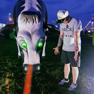 tuliperr's tweet photo. Cow 🐄 #NewProfilePic https://t.co/FznWwGBuHX