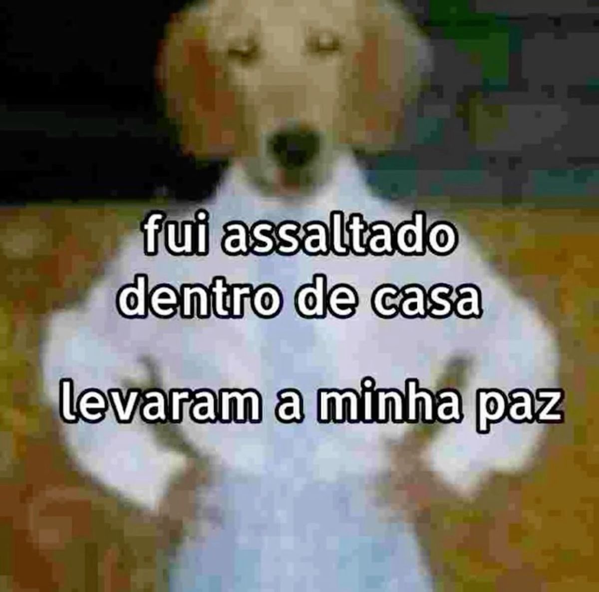 shitpostverdade's tweet photo. https://t.co/hIxnscorLI
