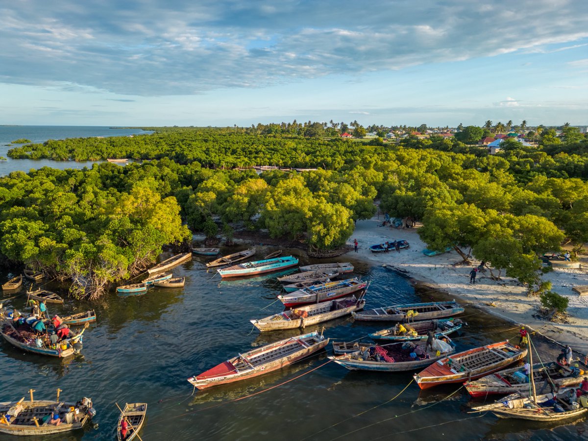 IrlEmbTanzania's tweet photo. For #WorldEnvironmentDay and #WorldOceansDay, the Embassy of Ireland 🇮🇪 in Tanzania 🇹🇿 joins the world in reaffirming our commitment to #ClimateAction through our internal greening efforts and support to development programmes in Tanzania.
 🌍🌊🌳 https://t.co/6L2CcdKOUY