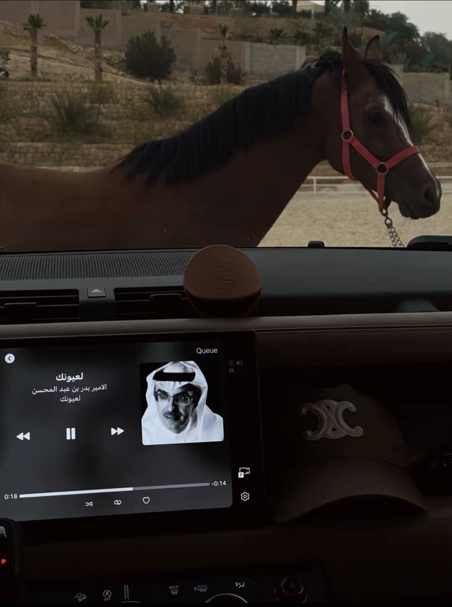 9_iLEENA's tweet photo. 🐎✨🌴🤎 https://t.co/qnIOK8Weho