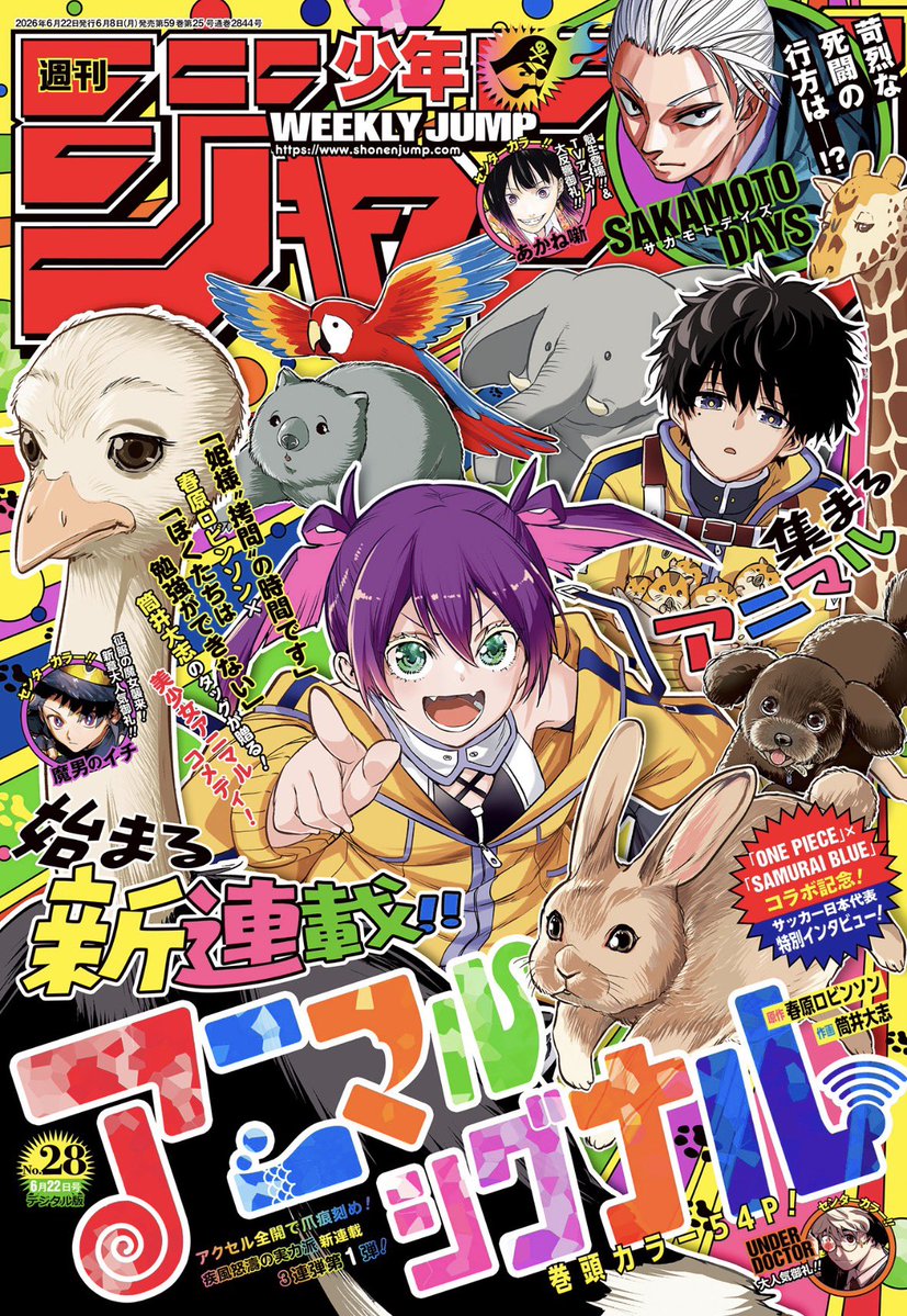 ReekGeeek's tweet photo. 「まどいのいきもの」と「アニマルシグナル」読んだから今めっちゃ動物について詳しい https://t.co/8dnkqaAXQx