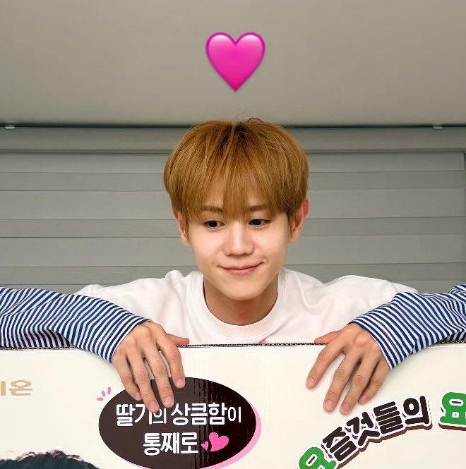 inspiteofthat__'s tweet photo. 닮앗어요 https://t.co/qIVPMIclQJ