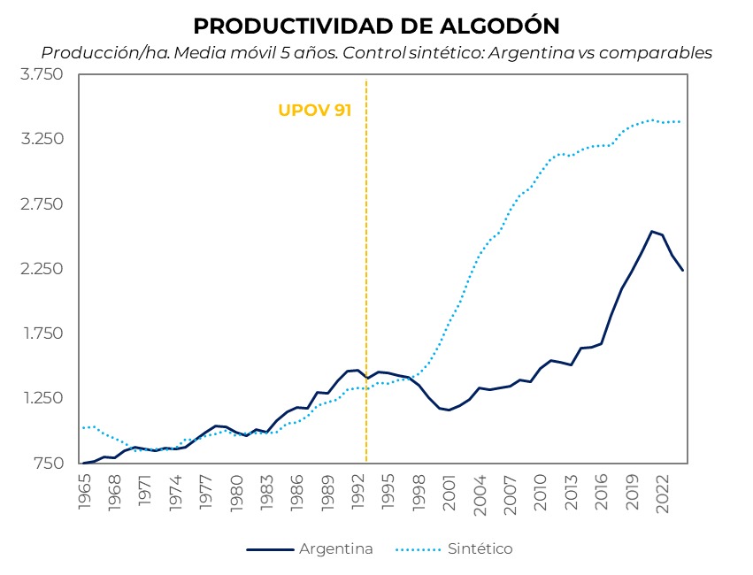 fedesturze's tweet photo. ARGENTINA SALDA OTRA DEUDA HISTÓRICA E IMPLEMENTA UNA GRAN REFORMA ESTRUCTURAL: LA QUE NOS PERMITIRÁ LLEGAR A LA FRONTERA TECNOLÓGICA EN PRODUCCIÓN AGRICOLA. Lo hace la Resolución Conjunta 3/26 de la Secretaría de Agricultura y el Instituto Nacional de Semillas (INASE), con firmas de Sergio Iraeta y Martín Famulari. Vamos a ilustrar de que se trata con un ejemplo que comienza con una pregunta. ¿Por qué una hectárea de algodón en Chaco rinde unos 600 kg de fibra cuando en Brasil los rindes son de más de 1800 kg? Porque en Argentina no se respeta el derecho de propiedad de las semillas mientras que en Brasil sí. Entonces hay semillas disponibles en Brasil, que no vienen a la Argentina. En otras palabras, por no respetar esos derechos de propiedad nos hemos retrasado en la calidad de las semillas que usan nuestros productores.

No es solo el algodón, el crecimiento en la productividad de nuestra soja viene siendo la mitad de la velocidad mundial hace décadas. El retraso ocurre también en el trigo, el tabaco y otros cultivos. Se da el absurdo que, siendo líderes mundiales en producción de semillas, nuestras empresas dejan Argentina. Los brasileños terminan usando semillas hechas por empresas argentinas y científicos argentinos que los agricultores argentinos no pueden usar. Los gráficos que adjunto muestran ese atraso tomando como referencia UPOV 91 que fue un marco en el cual se reforzaron los derechos de propiedad en semillas a nivel mundial (igual esta resolución no tiene relación alguna con UPOV).

Una clarificación técnica, para el que no conoce el tema. Las semillas se dividen en dos tipos: híbridas y autogamas. Las semillas híbridas tienen la característica que no se pueden volver a sembrar, lo cual obliga al productor a comprar una semilla nueva en cada campaña. El maíz es híbrido, y si se fijan en el gráfico que adjunto, por este motivo nuestra productividad en maíz viene creciendo al ritmo internacional. Las autogamas son las especies para las cuales no hay híbridos y por ende si no hay un sistema de protección de la propiedad intelectual, son pasibles de ser reproducidas y revendidas sin control. Que es lo mismo que decir que si no existe esa protección no se venderán. Es el resto de los cultivos en los otros gráficos donde se ve claramente como nos hemos retrasado. (Brasil el año pasado registró 330 variedades de soja y acá solo 23).

Hace años que Argentina da vueltas a este problema de mejorar su pool de semillas sin poder encontrar la forma. La Ley de Semillas 20.247 no es un obstáculo, porque establece el derecho de propiedad de manera clarísima. El tema es que el INASE no tenía capacidad (ni voluntad) de fiscalizar. Además, como ocurre siempre, el Estado, en este caso el INASE, sobrecargaba a la cadena formal de semillas con un montón de controles y sobrecostos, mientras el segmento ilegal (que lleva el nombre de bolsa blanca) se mataba de risa.

También resultaba difícil tener una conversación adulta con las partes involucradas. Las entidades rurales estaban focalizadas en el tema retenciones (que políticamente saben que les rinde con sus bases) y pareciera que no estaban dispuestas a hablar de otra cosa que no sea eso –aun cuando lo que se discutiera fuera algo que aumentara la producción 20, 50 o 100%-. Los semilleros, a su vez, no querían ninguna acción que no fuera el reconocimiento pleno de la propiedad intelectual de todas las semillas. En esa conversación tuvimos una parálisis de 30 años.

El presidente @JMilei nos pidió resolver esto de manera inmediata, pero con una condición adicional: no quería que ningún productor se viera perjudicado. Es decir, que el desafío era, permitir y proteger el derecho de propiedad de la comercialización de las semillas de mejor calidad, al mismo tiempo de no lesionar en nada la ecuación económica de ningún productor.

Por suerte, la tecnología venía cambiando muy rápido, lo que, sumado a un diseño político inteligente, nos permitió encontrar una tangente para resolver el desafío que nos había planteado el presidente. Veamos.

Hoy, todas las entregas de semillas se revisan, porque hoy el testeo es con un scanner e inteligencia artificial. Con un costo casi ínfimo se puede saber la genética de la semilla que se entrega con un alto grado de precisión. Entonces, ¿cuál es la solución propuesta? Primero, pasarle el control al sector privado que ya lo hace, que sabe cómo hacerlo y que lo hace eficientemente. Se firma un convenio con INASE para garantizar un protocolo para la toma de la muestra y la conservación de las contramuestras. Cuando surge un cargamento donde no se pagó la propiedad intelectual los privados se tienen que arreglar entre ellos (esto es, el dueño de la semilla y el productor que trae el grano). Solo si no hay acuerdo pueden ir al INASE que actúa como tribunal de alzada. En principio, dicho sea de paso, no debería llegar nada al INASE. Ahora, y este es el punto clave, este sistema se implementa, pero solo para las semillas que se registran de acá en más. Esta es la manera de cumplir lo que pidió el presidente. Volvamos al Chaco para entenderlo. Si un productor quiere seguir produciendo 650kg por hectárea puede hacerlo igual que hoy. No pasa nada y sigue igual. Pero con el nuevo esquema el que tiene para ofrecer una semilla que produce 1800kg tiene la tranquilidad que, si la vende, va a poder proteger su propiedad intelectual. La comprará un productor si le conviene. De esta manera defendemos el derecho del productor a comprar esa semilla de mayor calidad y que hoy no podía porque nadie se la ofrecía, al tiempo que el que quiera seguir como hoy puede hacerlo.

¿Quiere decir que el año que viene la cosecha de algodón del Chaco se va a duplicar o triplicar? No necesariamente. Ahora necesitamos que el sector privado recoja el guante. Que se firmen los convenios para el protocolo con el INASE. El INASE también debe terminar de establecer los protocolos para las muestras de cada cultivo. En algodón ni siquiera está hecho (sí lo está en soja, sorgo y otros productos). Pero este cambio ¿permitiría que dupliquemos la producción de algodón en Chaco en un par de años? La respuesta en un contundente sí.

Nuestras estimaciones indican que, simplemente, por acercarnos a la frontera -tenemos 30 años de atraso tecnológico por recuperar-, aumentaremos las exportaciones agrícolas, de mínima, en unos 4.000 millones de dólares anuales (ver el link al final de esta nota para un informe). La verdad, es que no sabemos cuánto es la ganancia potencial, pero sí sabemos que, en un mundo con tanto cambio tecnológico, lo único que no podemos hacer es quedarnos atrás. Además, nuestras empresas en este sector son las mejores del mundo, las necesitamos acá por encima de todas las cosas. No que se vayan a otro país.

En fin, otra gran reforma estructural que avanza.

Como dije al comienzo, la resolución conjunta que permite este cambio fue firmada por el Secretario de Agricultura, Sergio Iraeta y el presidente del INASE Martin Famulari, ambos bajo la mirada atenta de @PALavigne83, Secretario Coordinador de Producción del @MinEconomia_Ar y todos funcionarios de @LuisCaputoAR. Se llegó a eso luego de un largo recorrido con varias reuniones técnicas entre la Secretaria de Agricultura, los equipos del @MinDesreg_Ar y los actores del sector (representantes del sector, acopiadores, semilleros, etc.) @martinf591  de Agricultura fue absolutamente clave en el proceso, así como lo fue el Secretario de Desregulación @alejandrocacace, secundado por @Eugenio__Mari, Subsecretario de Reformas Estructurales. @ParetoOptimo (Santiago Franco) y su equipo de datos nos aportaron el apoyo de datos para llevar adelante la discusión. De mi lado quiero darle un reconocimiento especial a Alejandro y a los dos Martines (Fernández y Famulari) que batallaron contra el escepticismo y los miedos de los actores. Argentina vive llena de miedo. Miedo al cambio, miedo al progreso, miedo a abrirse a nuevas oportunidades. Pero el miedo está en nuestra cabeza y la de nuestros dirigentes. No está en la gran masa de productores argentinos que todos los días nos sorprenden con su capacidad para innovar y cambiar. A estos tres héroes que lograron esta gran reforma ¡salud! VLLC!

https://t.co/Sbg5CFqzN9