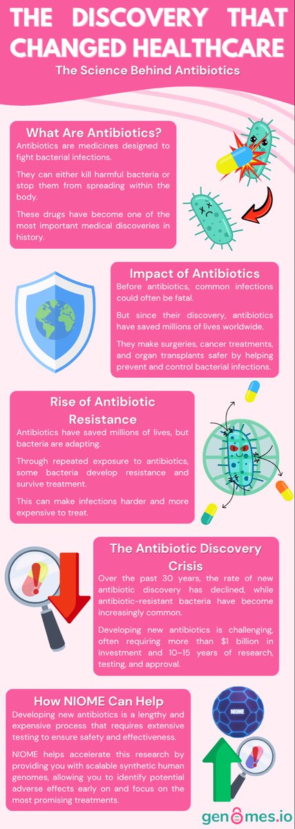 NiomeAI's tweet photo. Before antibiotics, even minor bacterial infections could be fatal. 🦠

These life-saving medicines have transformed modern healthcare and saved millions of lives worldwide. 🌎

Yet the discovery of new antibiotics is slowing, while antibiotic-resistant bacteria continue to rise. ⚠️

Developing a new treatment can take more than a decade and cost hundreds of millions of dollars. 💊

At NIOME, we can help accelerate your research through scalable synthetic human genomes, allowing you to evaluate potential side effects early on and focus resources on the most promising treatments, without the privacy risk or ethical concerns of using real patient data. 🧬

Explore today's poster to learn more about antibiotics or check out NIOME here: https://t.co/Vmho9gxN1T