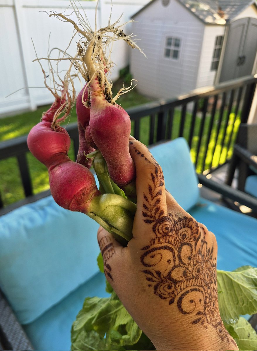 MrsJohnnyLuv's tweet photo. I mean. At what point do I call myself a farmer and buy a dozen chickens? 😌 https://t.co/DaTkL34lGt