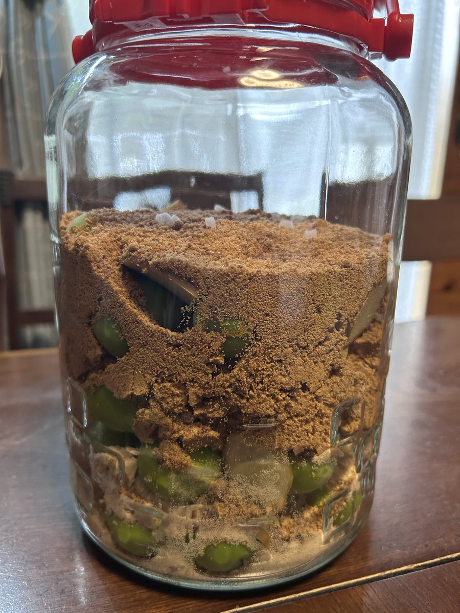 1ef_de's tweet photo. 2026年の梅しごと②

薬膳梅コーラに初挑戦✨
青梅1キロ、砂糖1キロ（上・多良間島産純黒糖粉、中・沖縄産黒糖粉、下・素焚糖）生姜、黒胡椒、クローブ、リンゴ酢
ソルトインダイヤモンド10粒
カルダモン、シナモンは
後日購入してきます♪

#非加熱長期熟成天日塩 
#saltindiamond https://t.co/pBbWJrisbl