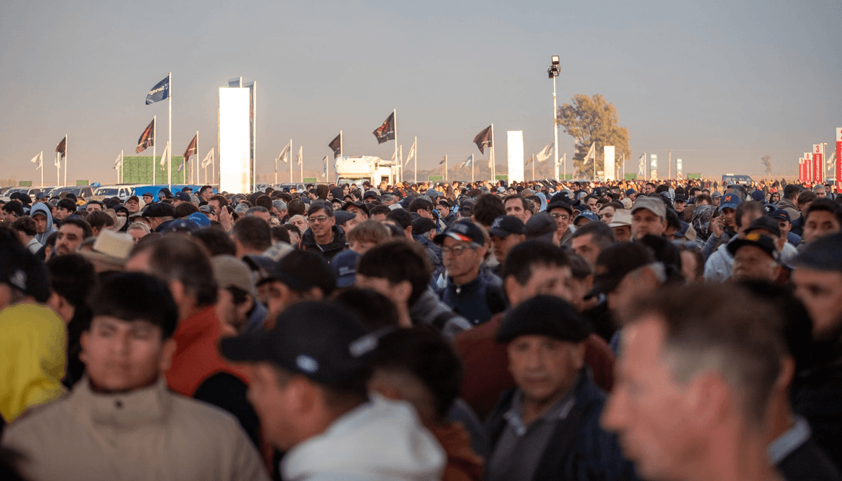 ANoroeste's tweet photo. @AgroActiva #Numeros
+ 280.000 visitantes (la mayor cifra en los 32 años de la muestra)
+ U$S 12.000 millones en créditos pedidos (@BancoNacion destacó que las solicitudes aumentaron 78% frente al año pasado). https://t.co/4Rv4GEIwrC