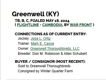 blindadosalas1's tweet photo. #Hipismo ¡LLEGÓ LA HORA! Se acabó la espera. Este viernes debuta en #ChurchillDowns GREENWELL 🇺🇸 primer hijo en cancha del fabuloso FLIGHTLINE con el #Wizard JOSÉ LUIS ORTIZ 🇵🇷 y MARK CASSE 🇨🇦 como sus conexiones.

Será a las 2:45 PM (VE) ¡Buena Suerte! https://t.co/CYaVvJqDdh