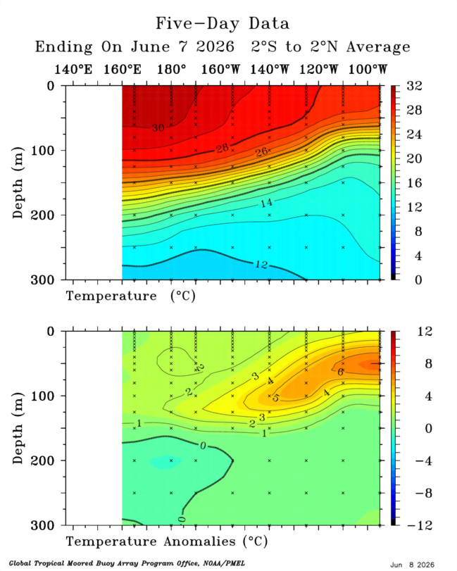 Mario___Ramirez's tweet photo. 08/06/26  Estructura térmica subsuperficial
en el Pacífico ecuatorial tropical.

Comparativo:    Mayo 2026   vs    Mayo 1997
vs  Mayo 2015   vs  Mayo 2023

Además, se ha formado una   4ta #OndaKelvin
y en progreso, que reforzará la #Expansión 
e  #Intensidad del evento actual. https://t.co/9ivVS6GLSB