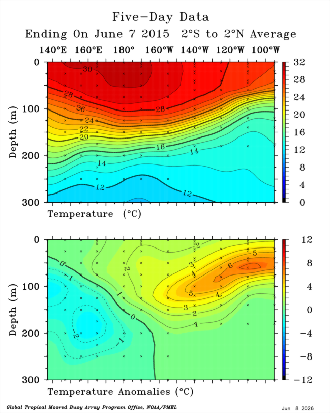 Mario___Ramirez's tweet photo. 08/06/26  Estructura térmica subsuperficial
en el Pacífico ecuatorial tropical.

Comparativo:    Mayo 2026   vs    Mayo 1997
vs  Mayo 2015   vs  Mayo 2023

Además, se ha formado una   4ta #OndaKelvin
y en progreso, que reforzará la #Expansión 
e  #Intensidad del evento actual. https://t.co/9ivVS6GLSB