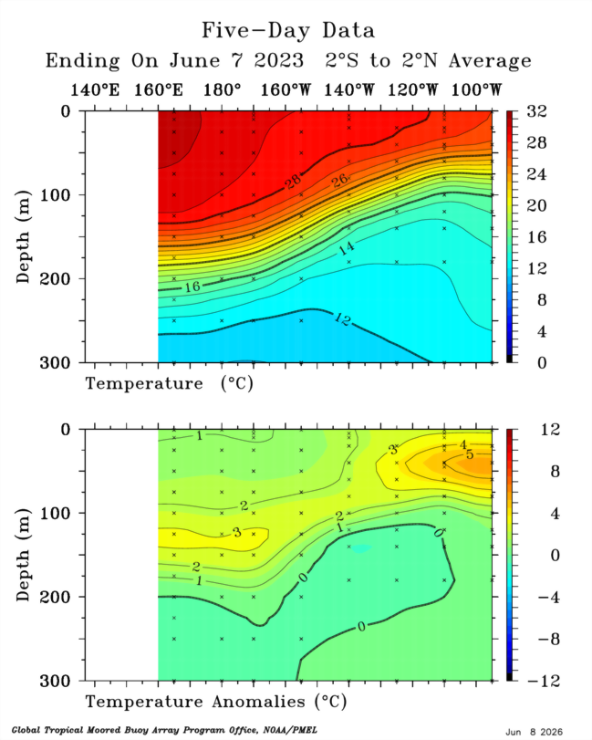 Mario___Ramirez's tweet photo. 08/06/26  Estructura térmica subsuperficial
en el Pacífico ecuatorial tropical.

Comparativo:    Mayo 2026   vs    Mayo 1997
vs  Mayo 2015   vs  Mayo 2023

Además, se ha formado una   4ta #OndaKelvin
y en progreso, que reforzará la #Expansión 
e  #Intensidad del evento actual. https://t.co/9ivVS6GLSB